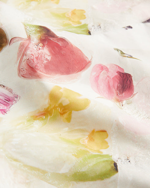 MERREEN-Dresses-Scuba Floral Midi Dress- Ted Baker Romania